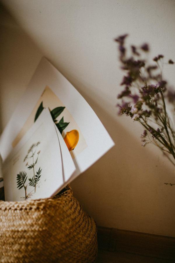 Goji Vegan Hotel Jalisos Zewnętrze zdjęcie